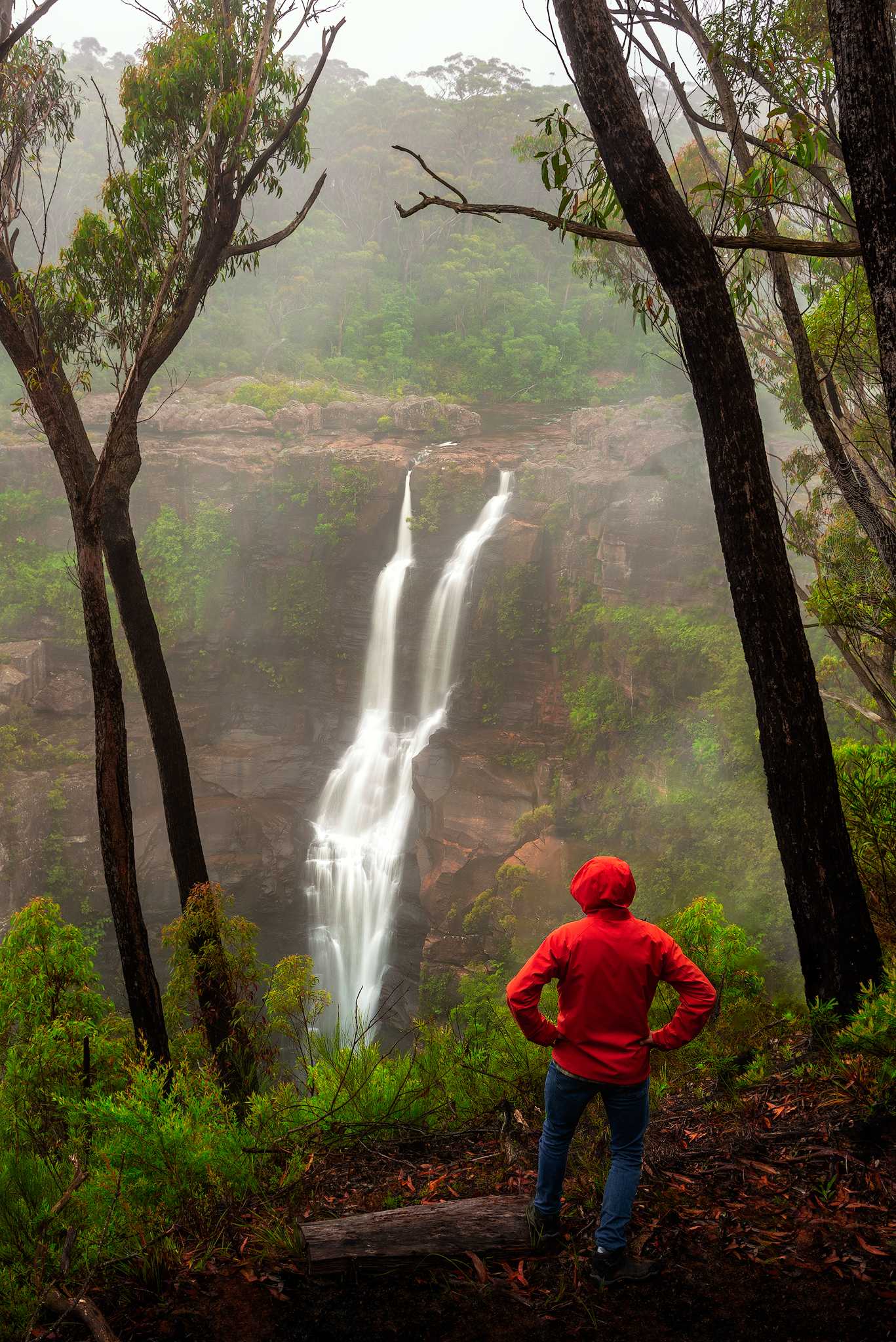 Carrington Falls NSW
