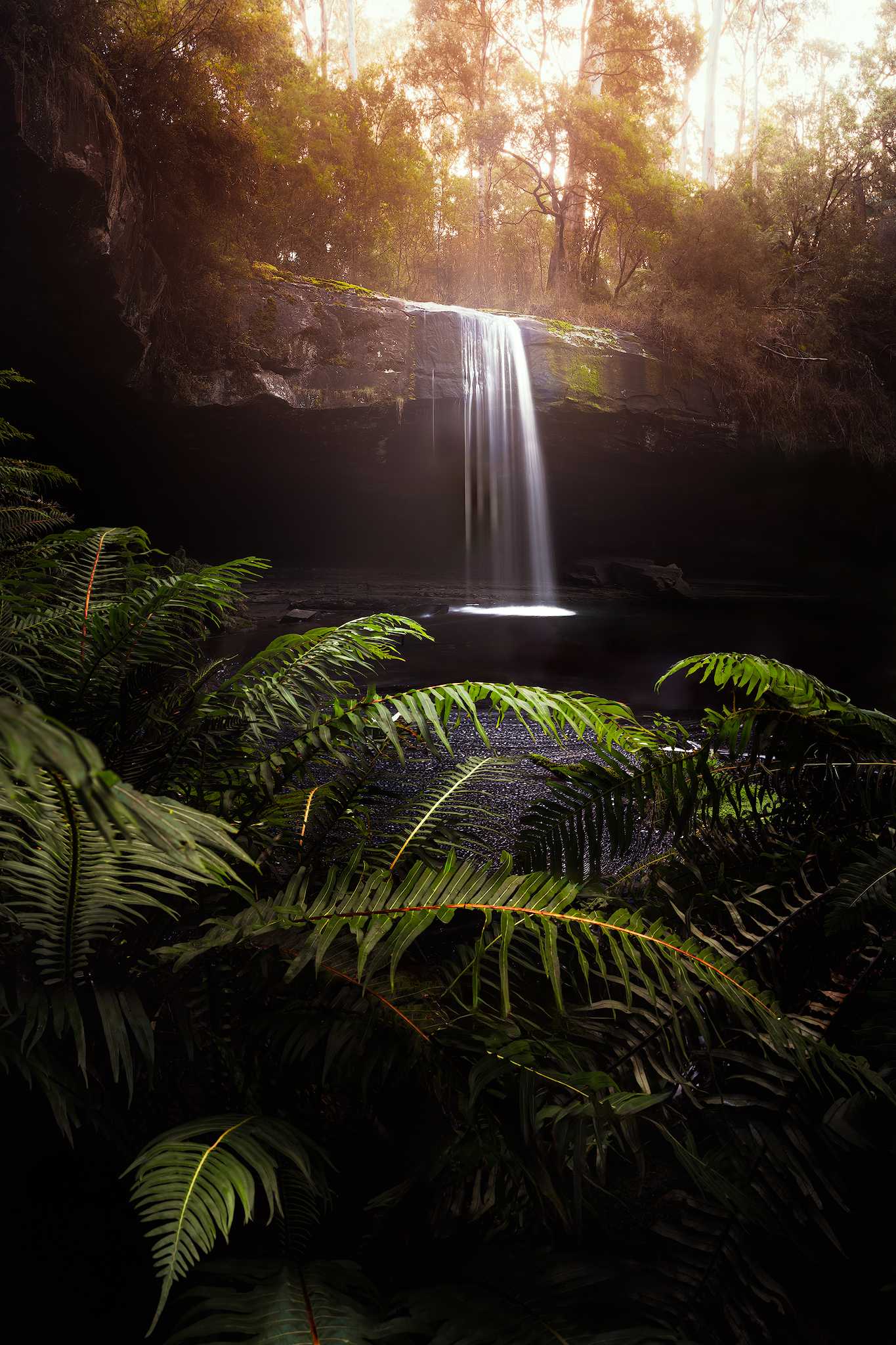 Otway National Park Lower Kalimna Falls