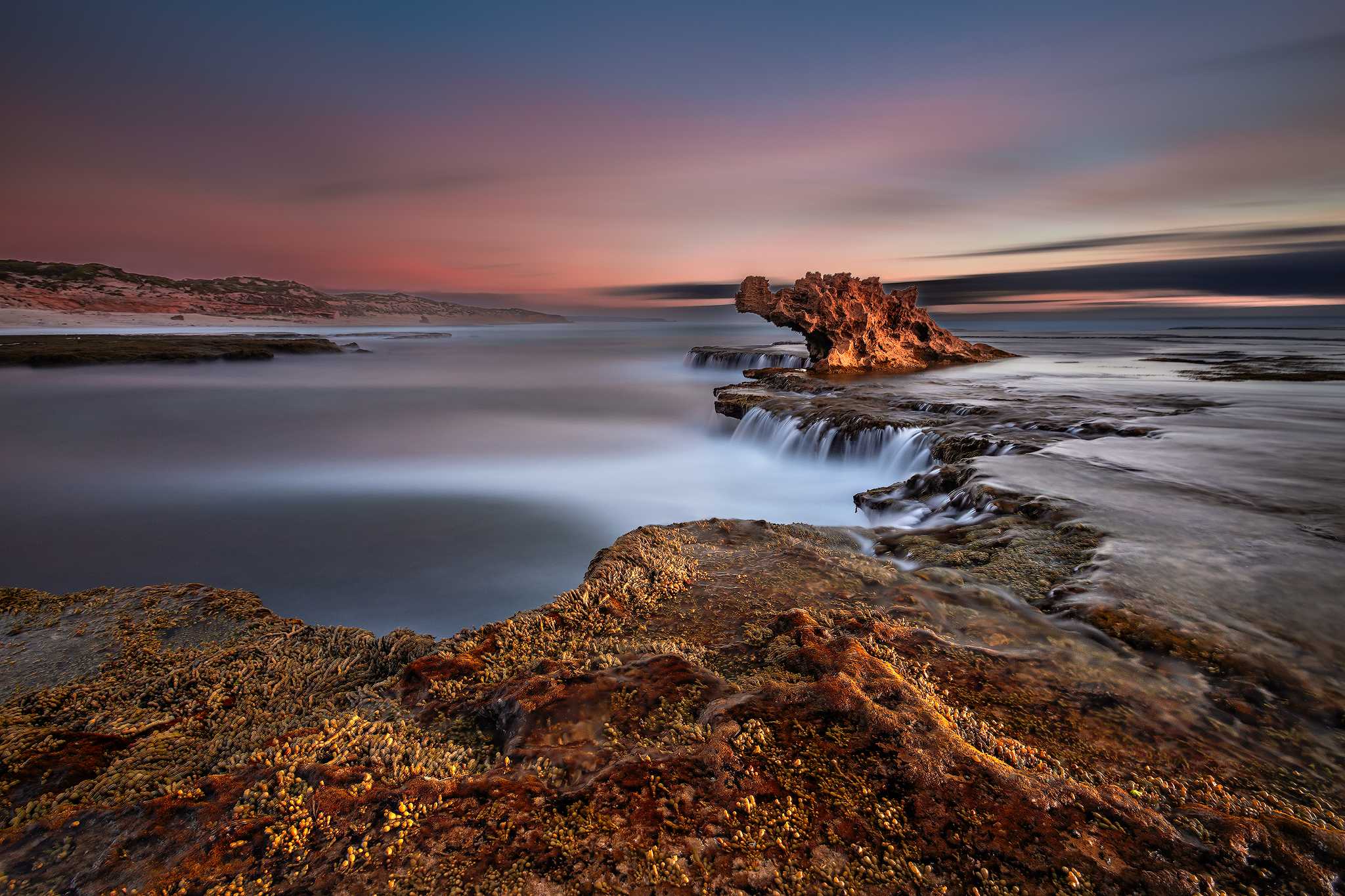 Dragon Head Mornington