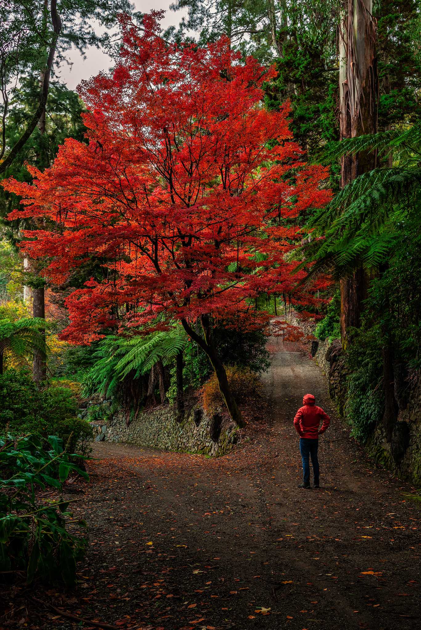 Alfred Nicholson Gardens