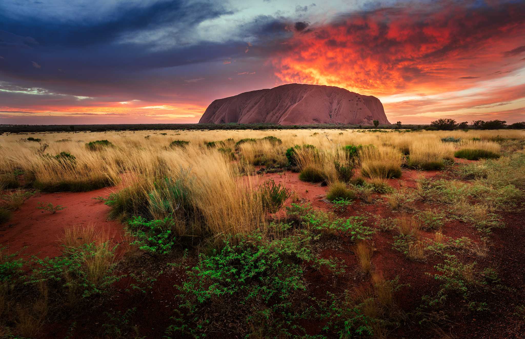 Sunrise at Uluru